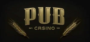 Pub 